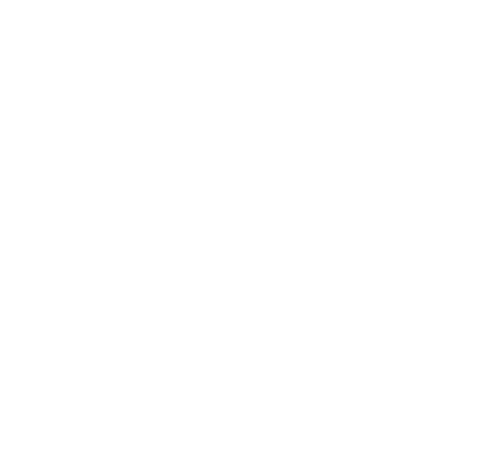 dismas.help